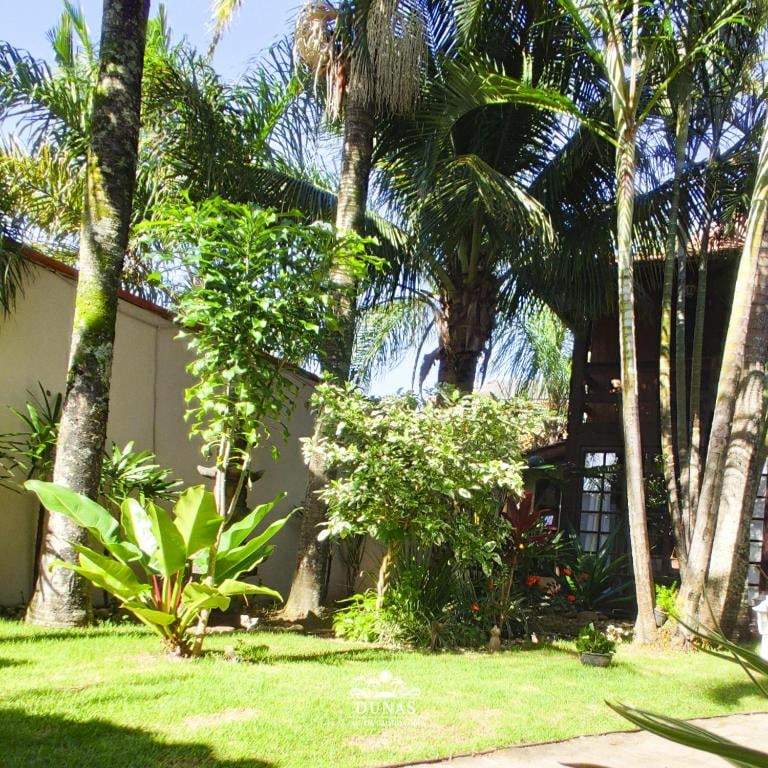 Jardim gramado com palmeiras e vegetação nativa