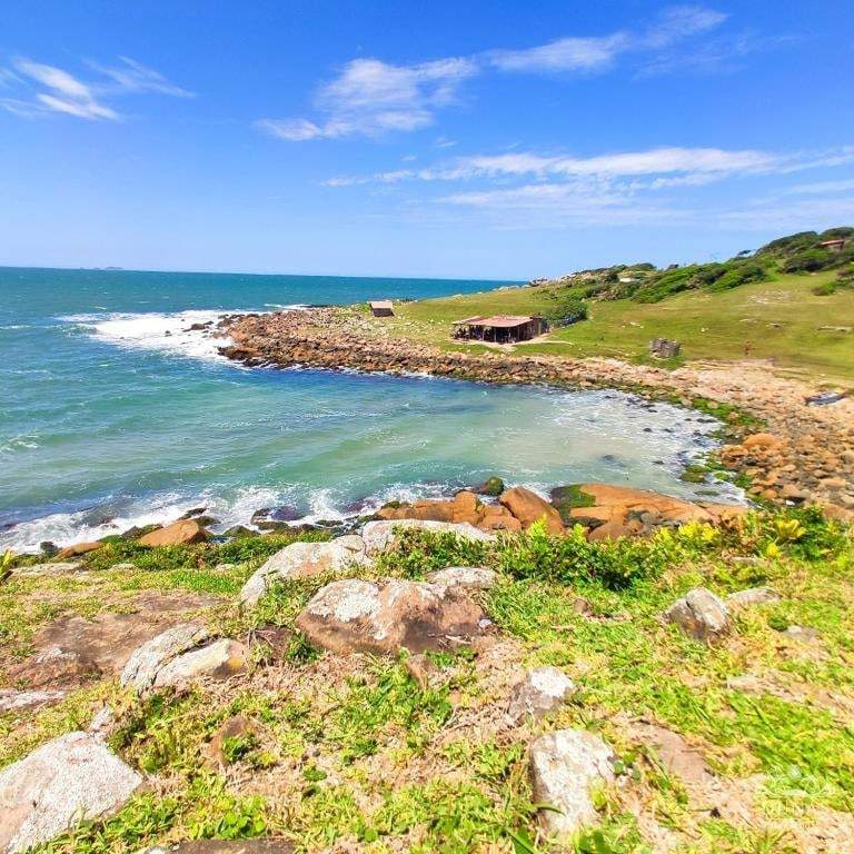 Costão rochoso com vegetação e mar azul